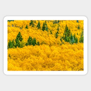 The Bowl Of Aspen Gold Sticker